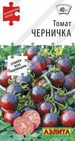 Томат Черничка