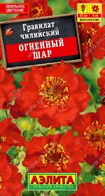 Гравилат Огненный шар