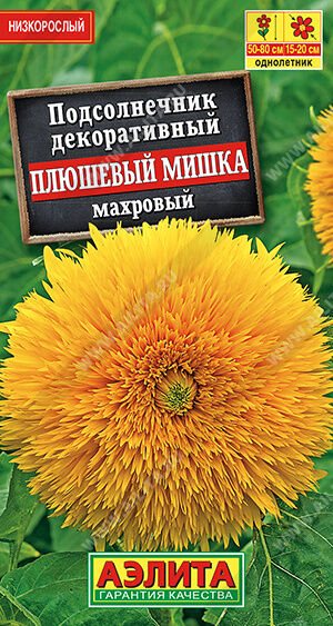 Подсолнечник махровый Плюшевый мишка