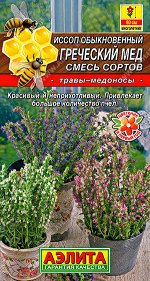 Иссоп Греческий мед, смесь сортов