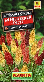 Книфофия Африканский гость, смесь сортов