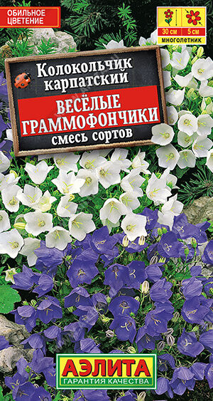 Колокольчик Веселые граммофончики, смесь сортов