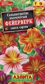 Сальпиглоссис Фейерверк, смесь сортов