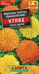 Бархатцы Купид хризантемовидные, смесь сортов