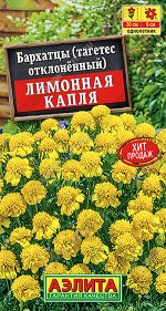 Бархатцы Лимонная капля отклоненные