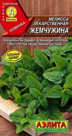 Мелисса лекарственная Жемчужина