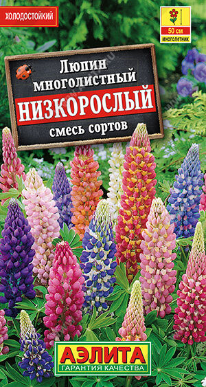 Люпин Низкорослый, смесь сортов