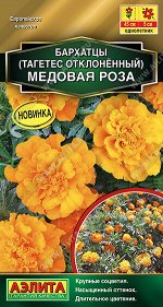 Бархатцы Медовая роза отклоненные