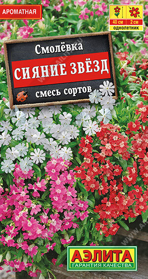 Смолевка Сияние звезд, смесь сортов