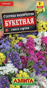 Статица Букетная, смесь сортов