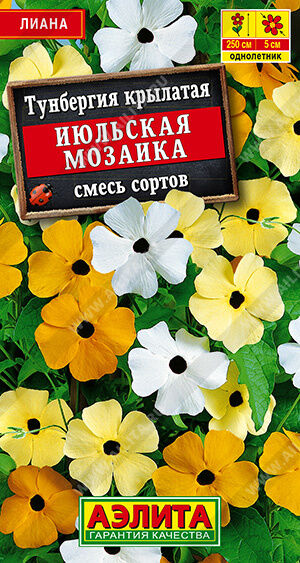 Тунбергия Июльская мозаика, смесь сортов