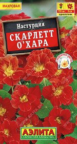 Настурция Скарлетт О&#039;Хара махровая