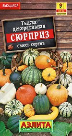 Тыква декоративная Сюрприз, смесь сортов