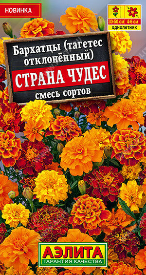 Бархатцы Страна чудес отклоненные, смесь сортов
