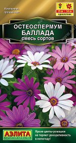 Остеоспермум Баллада,смесь сортов