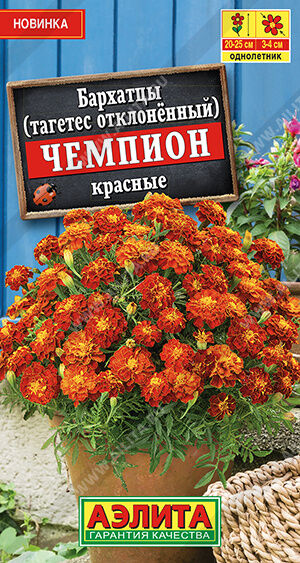Бархатцы Чемпион красные