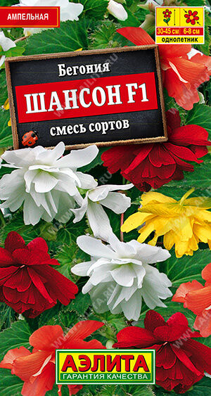 Бегония ампельная Шансон F1, смесь сортов