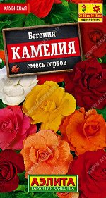 Бегония крупноцветковая Камелия, смесь сортов