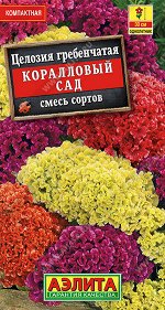 Целозия гребенчатая Коралловый сад, смесь сортов