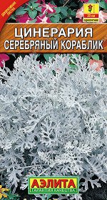 Цинерария Серебряный кораблик