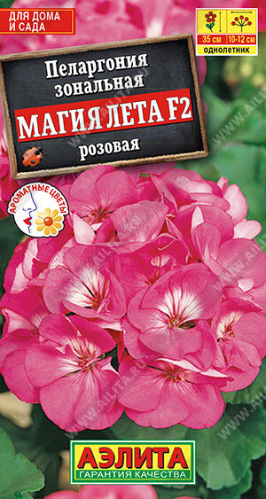Пеларгония Магия лета F2 розовая