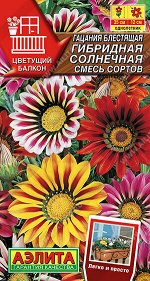 Гацания гибридная Солнечная, смесь сортов