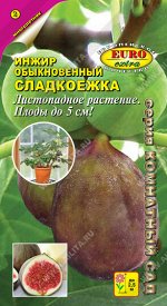 Инжир Сладкоежка обыкновенный