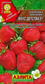 Земляника ремонтантная крупноплодная Вкус детства F1