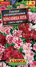 Годеция Красавица лета крупноцветковая, смесь сортов