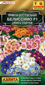 Примула Белиссимо F1, смесь сортов