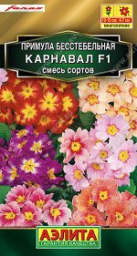 Примула Карнавал F1, смесь сортов