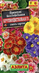 Примула Крупноцветковая F1, смесь сортов