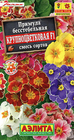 Примула Крупноцветковая F1, смесь сортов