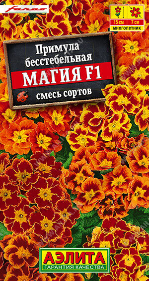 Примула Магия F1, смесь сортов