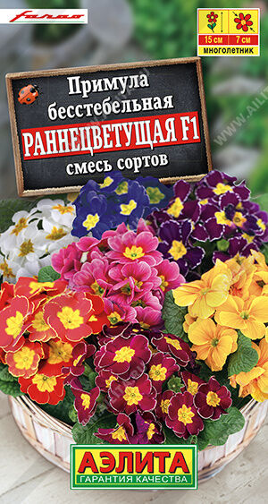 Примула Раннецветущая F1, смесь сортов