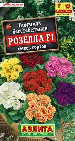 Примула Розелла F1, смесь сортов