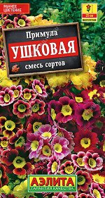 Примула ушковая, смесь сортов