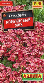 Саксифрага Коралловый мох