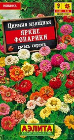 Цинния Яркие фонарики, смесь сортов