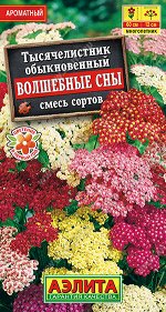 Тысячелистник Волшебные сны, смесь сортов