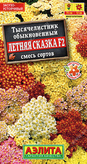 Тысячелистник Летняя сказка F2, смесь сортов