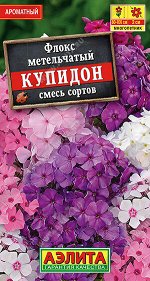 Флокс метельчатый Купидон, смесь сортов