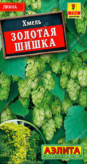 Хмель Золотая шишка