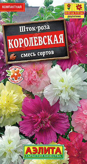 Шток-роза Королевская, смесь сортов