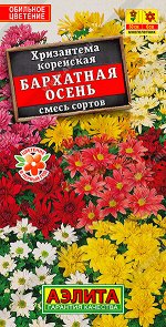Хризантема корейская Бархатная осень,смесь сортов