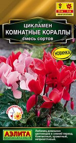 Цикламен Комнатные кораллы, смесь сортов