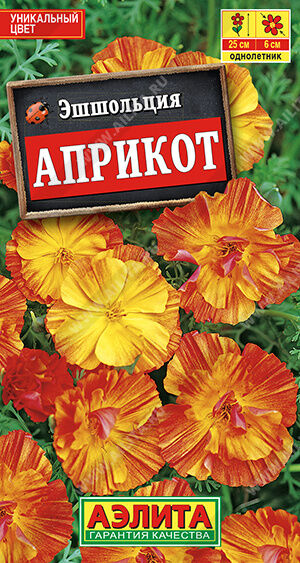 Эшшольция Априкот калифорнийская