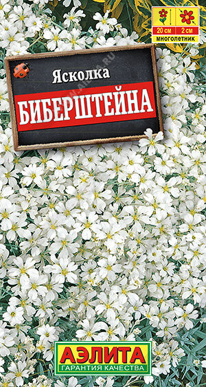 Ясколка Биберштейна
