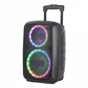 Портативная колонка с микрофоном Extra Bass Speaker NDR-2680 20W