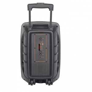Портативная колонка с микрофоном Extra Bass Speaker NDR-2680 20W